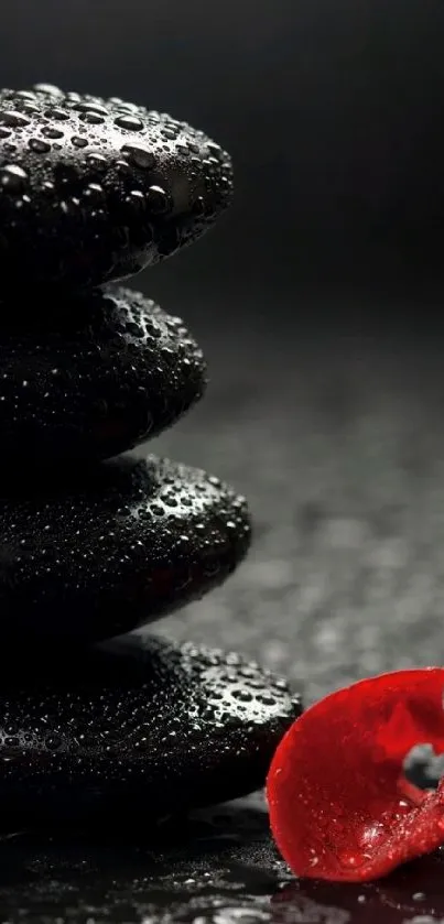 Black zen stones with a red petal on wet surface.