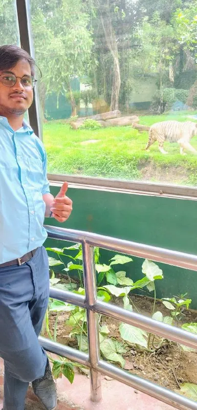 Man visiting a zoo with tiger in green surroundings.