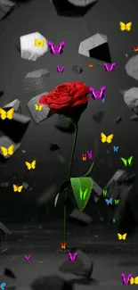 3D red rose amidst floating gray shapes on a dark background.