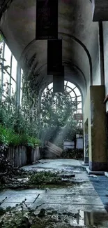 Abandoned greenhouse hallway with overgrown plants and natural light streaming through.