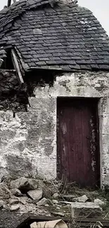 Abandoned stone cottage with old door in rural setting.