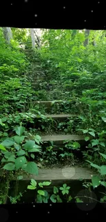 Wallpaper of overgrown stairs in a lush forest setting with green foliage.