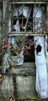 Abandoned window with torn curtains and autumn leaves.