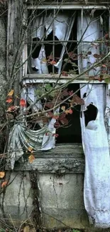 Abandoned window with autumn leaves and tattered curtains.