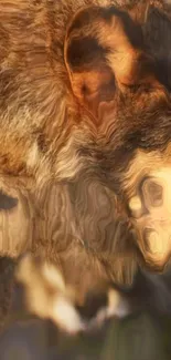 Abstract blurred animal wallpaper with brown textures.
