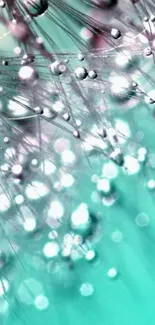 Abstract aqua bokeh wallpaper for phones with calming tones.