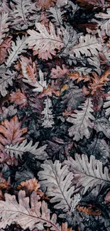 Abstract autumn leaves in brown and grey tones creating a natural texture.