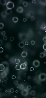 Abstract wallpaper with floating bubbles on a dark green background.