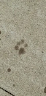 Concrete texture with dark stains and abstract patterns.