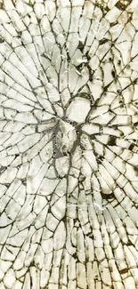 Mobile wallpaper featuring a cracked glass pattern with earthy beige tones.