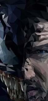 Abstract geometric portrait with dark tones and vibrant details.