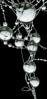 Abstract design with glass orbs on black background.