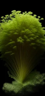 Vibrant green fractal art design on a black background.