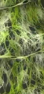 Abstract green network pattern wallpaper