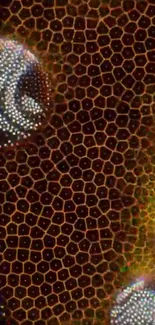 Abstract honeycomb pattern with vibrant textures.