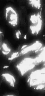 Abstract monochrome wallpaper with dynamic light and shadow contrasts.