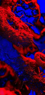 Vibrant abstract mobile wallpaper in red and blue hues.