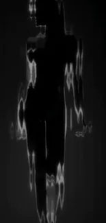Abstract silhouette art with black and white highlights.