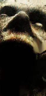 Abstract dark skull art with textured design for mobile wallpaper.