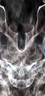 Intricate abstract smoke art with symmetrical shapes on a dark background.