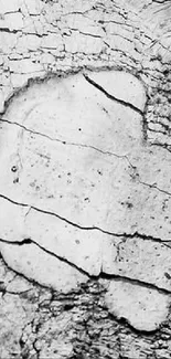 Black and white textured abstract wallpaper with cracked patterns.