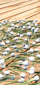 Abstract wooden pattern with beads on surface.