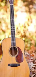 Acoustic guitar resting on autumn leaves, creating a peaceful and artistic scene.