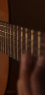 Closeup of acoustic guitar strings with warm lighting.