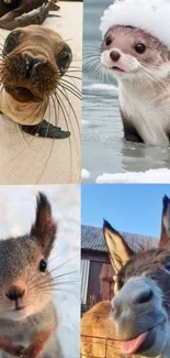 Collage of playful and adorable animals including a seal, otter, squirrel, and donkey.