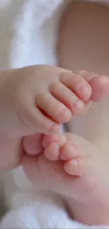 Close-up of adorable baby feet resting gently.