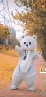 Adorable bear in costume walking along autumn pathway, lined with golden trees.