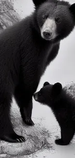 Cute black bear cub and mother in nature.