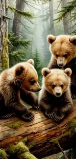 Three adorable bear cubs in a lush forest.