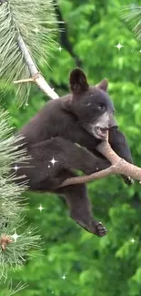 Playful bear cub on a tree branch with green foliage.