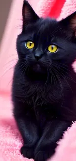 Black cat with yellow eyes on a pink blanket.