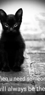 Adorable black kitten on cobblestone path with text.