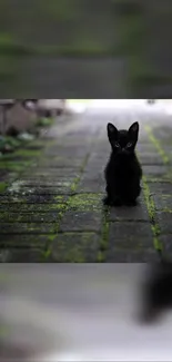 Adorable black kitten on mossy pathway with blurred surroundings.