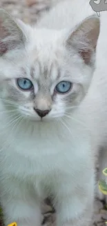 Cute blue-eyed kitten with emoji in garden scene.