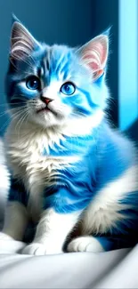 Cute blue kitten sitting elegantly by the window.