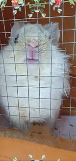 Fluffy white bunny behind wire cage with wooden background.