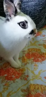 Adorable bunny on vibrant floral pattern wallpaper.