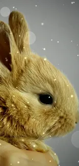 Cute bunny rabbit held gently in a hand against a soft background.