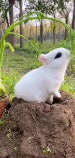 Adorable white bunny sitting on a carrot mound in a lush green forest.