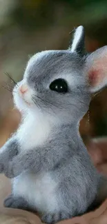 Cute grey bunny on a hand mobile wallpaper.