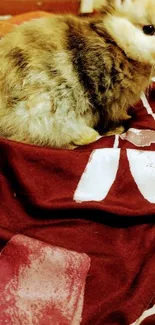 Adorable bunny sitting on a red blanket.