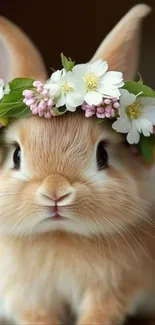 Adorable bunny with a floral crown in nature.