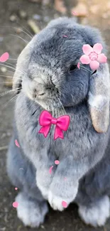 Adorable gray bunny with pink bow and flower accessories.