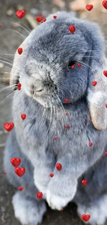 Adorable grey bunny surrounded by red hearts.