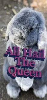 Gray bunny with 'All Hail The Queen' text.