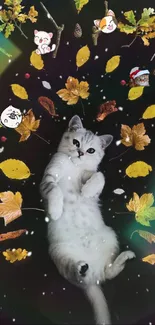 Cute kitten surrounded by falling autumn leaves with a black background.